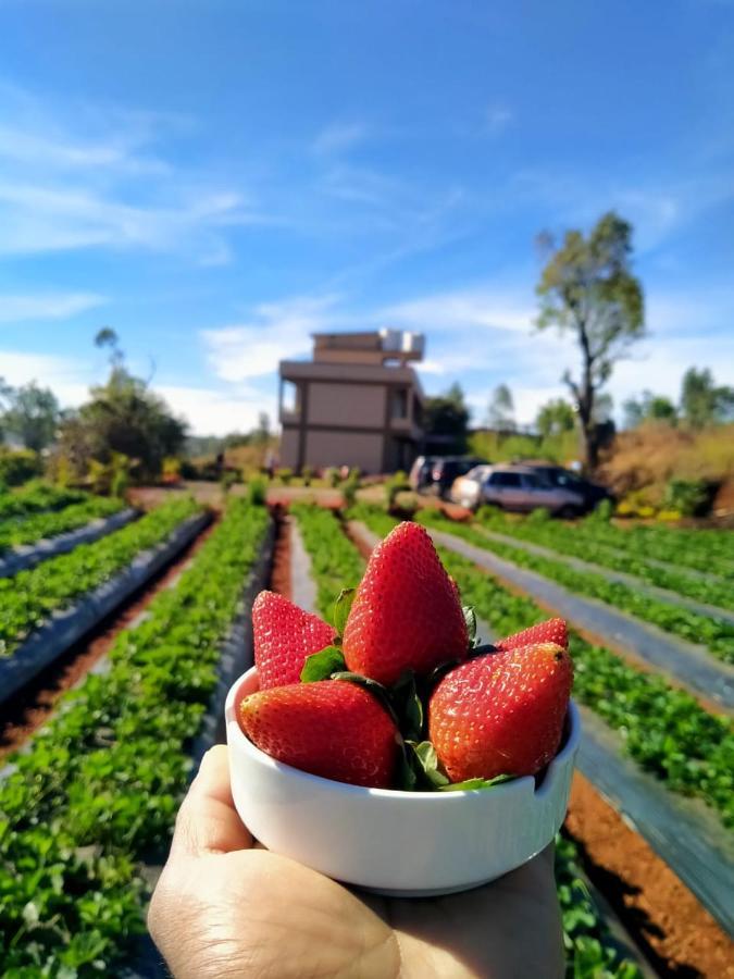 Divine Resort - Mahabaleshwar Panchgani Εξωτερικό φωτογραφία